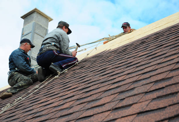 Best Metal Roofing Contractor  in Topanga, CA